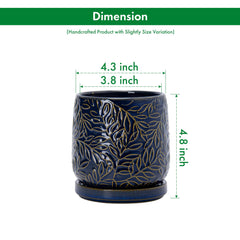 D'vine Dev 4 Inch Planter with matching saucer and drainage mesh