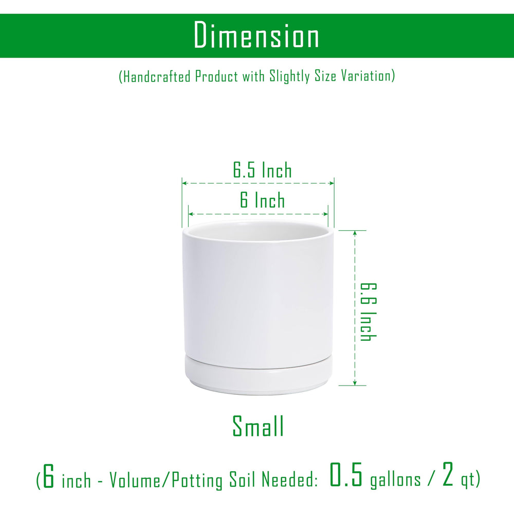 D'vine Dev 6.5 Inch ceramic planter pot with drainage net