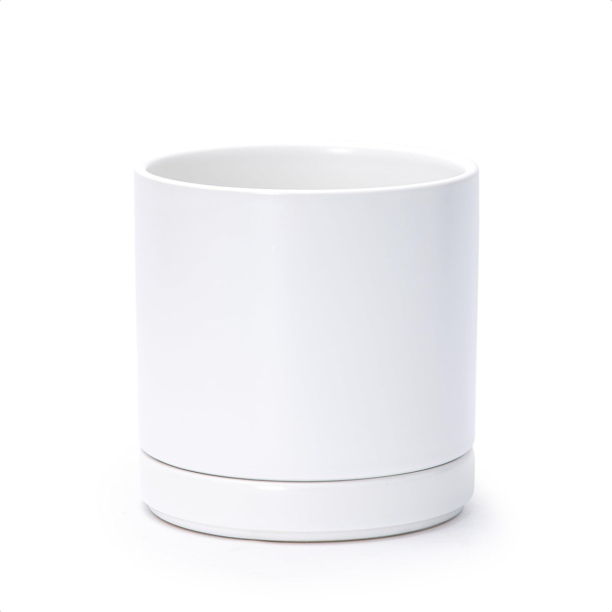 D'vine Dev 6.5 Inch white ceramic planter pot with saucer