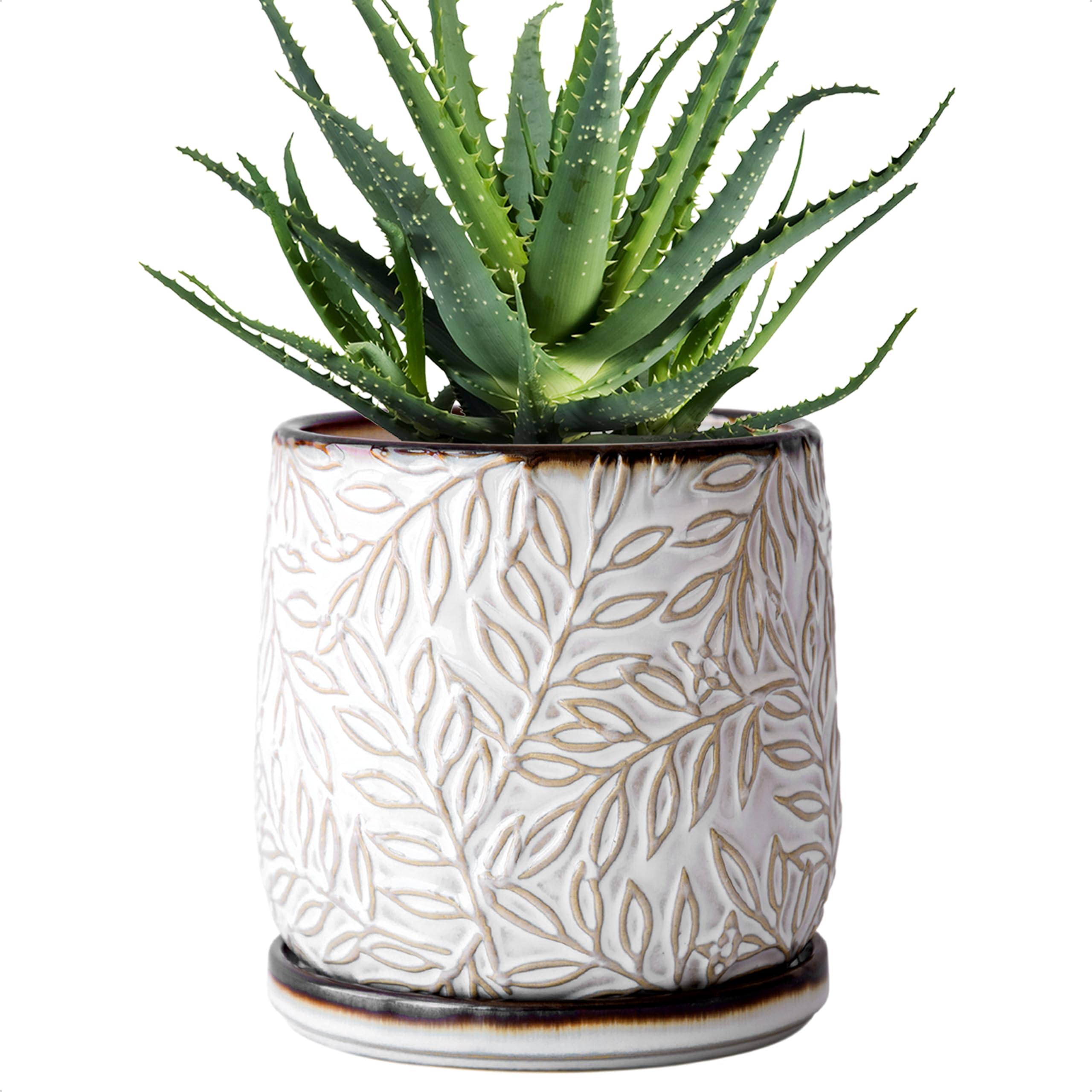 D'vine Dev 6-inch ceramic planter in smoked white with embossed leaves design