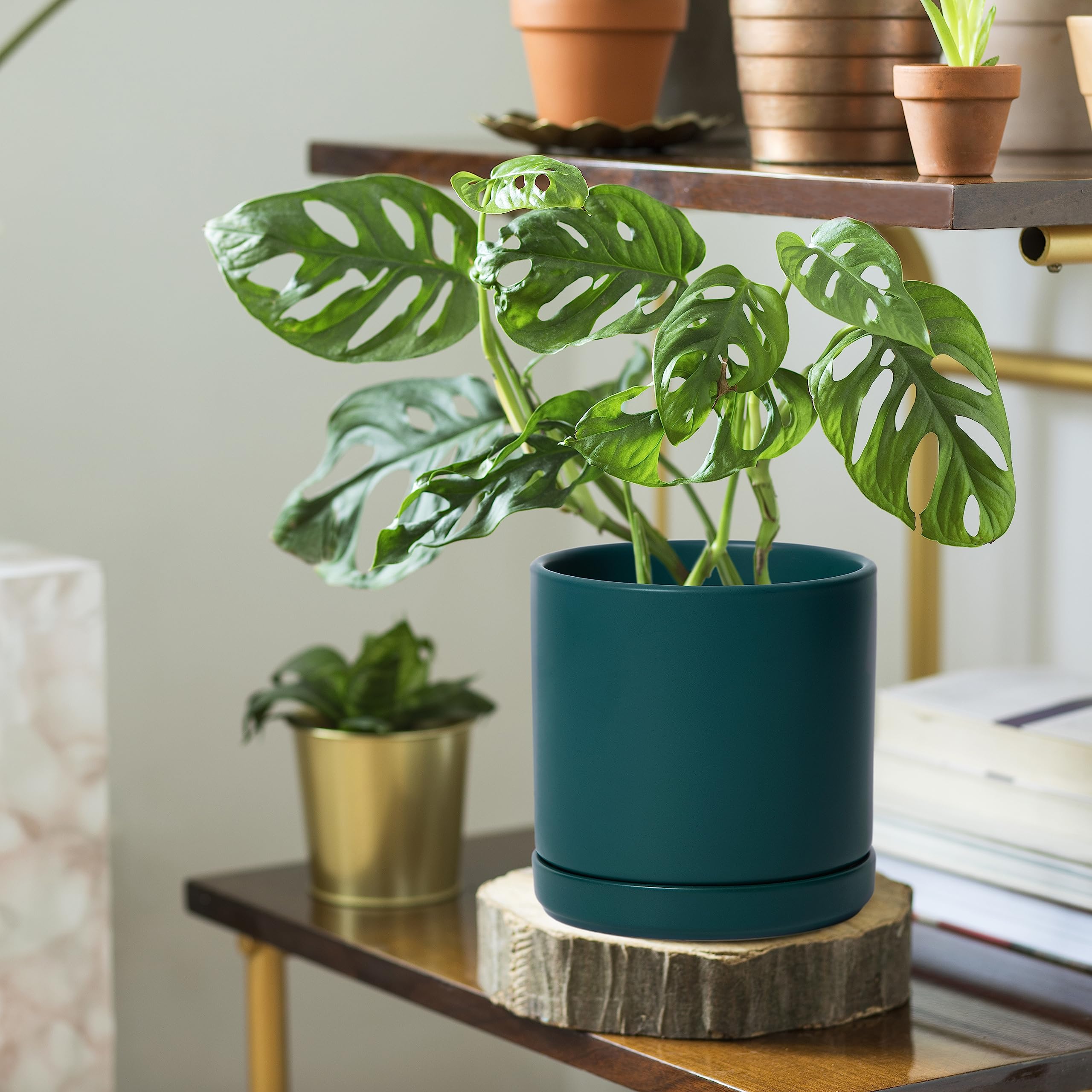 D'vine Dev 6 Inch Ceramic Planter Pot with tabletop pads