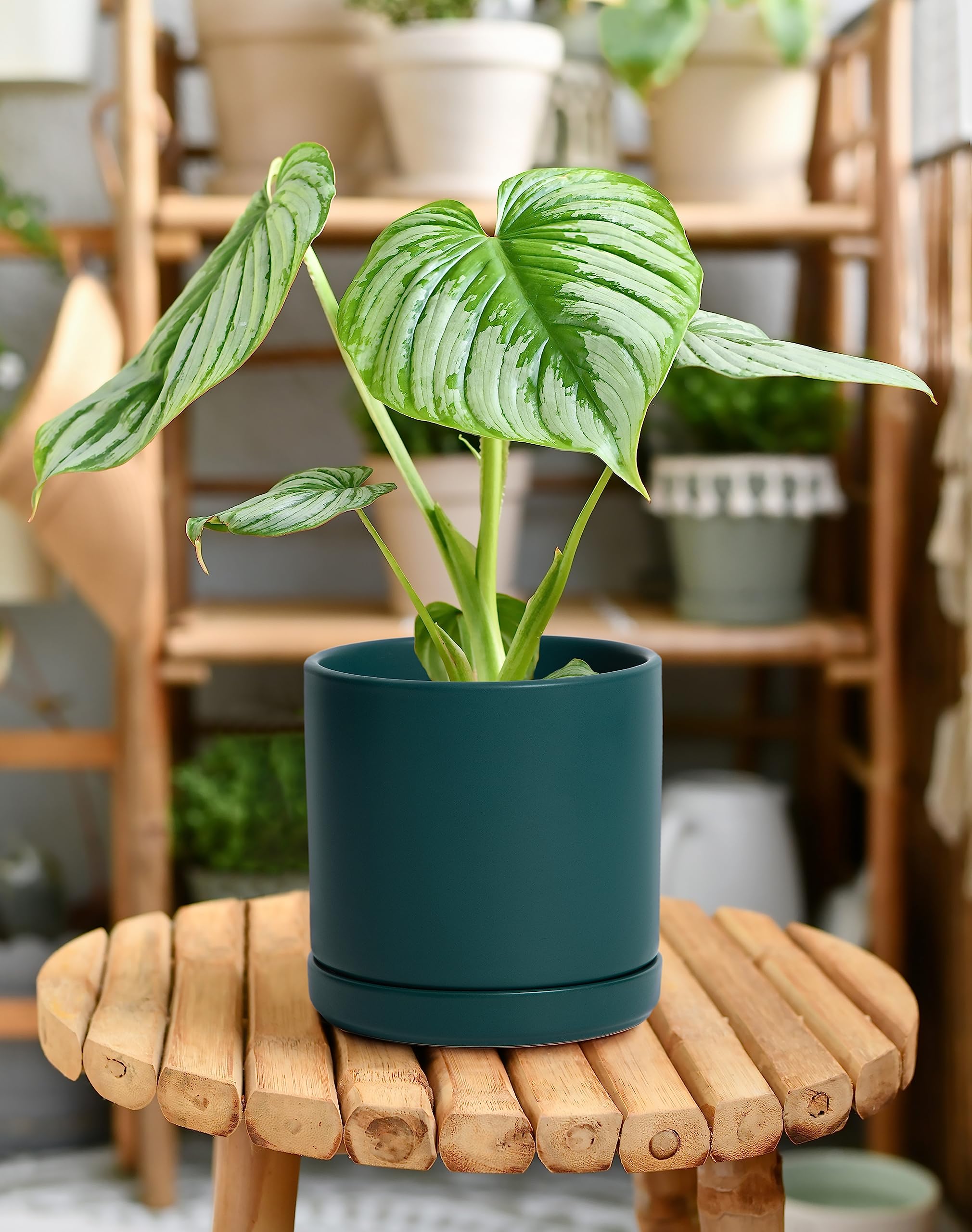 D'vine Dev 6 Inch Ceramic Pot with Saucer, side view