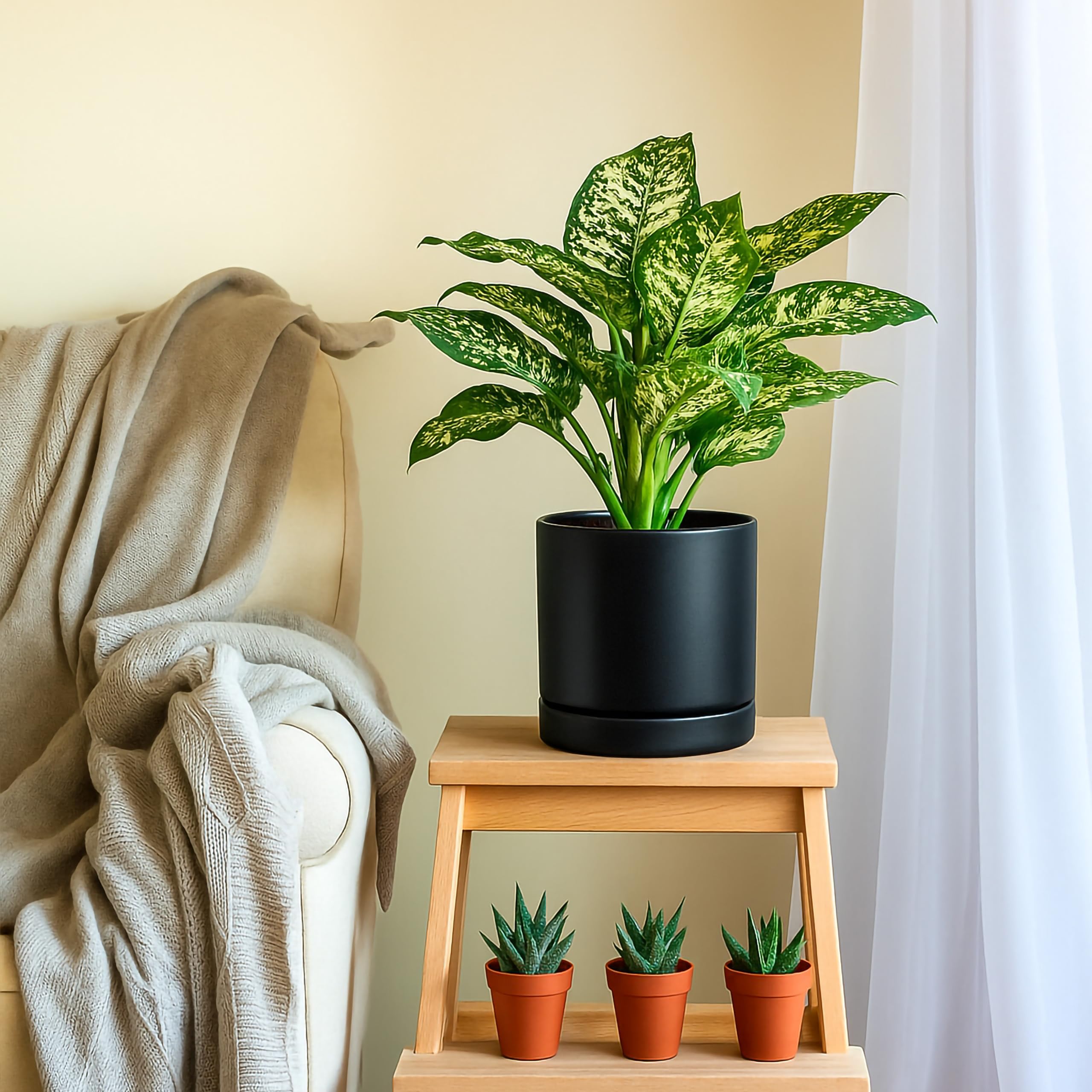 D'vine Dev 8.2 inch black ceramic planter pot on a tabletop