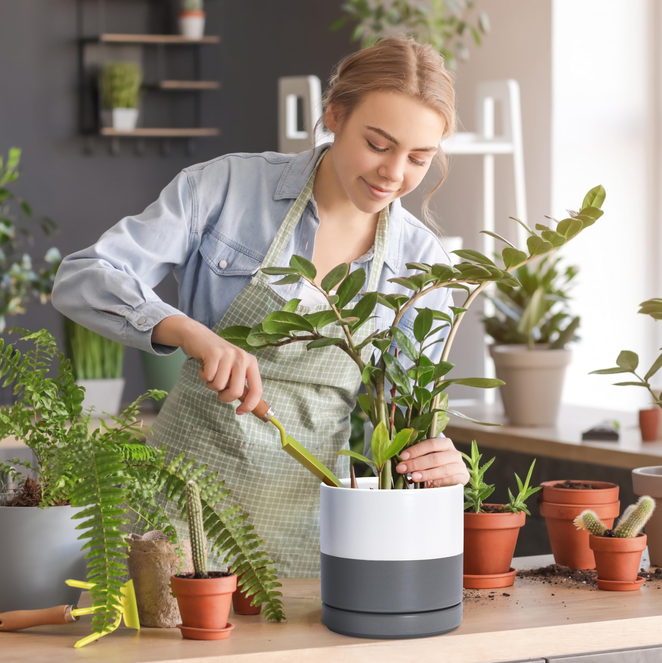 D'vine Dev 8.2 Inch Ceramic Planter Pot with a plant inside