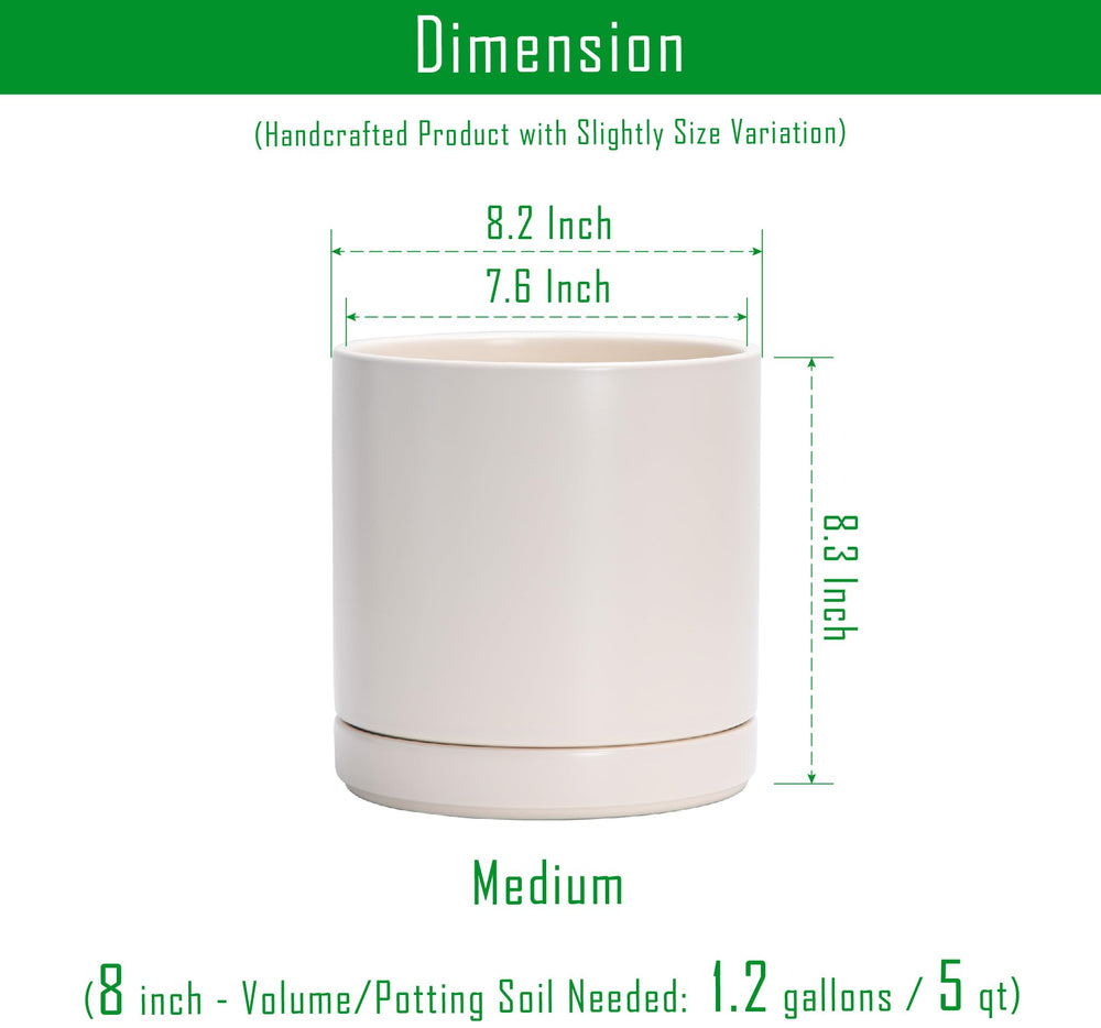 D'vine Dev 8.2 Inch Ceramic Planter Pot with drainage hole