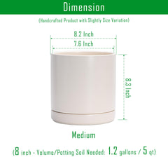 D'vine Dev 8.2 Inch Ceramic Planter Pot with drainage hole