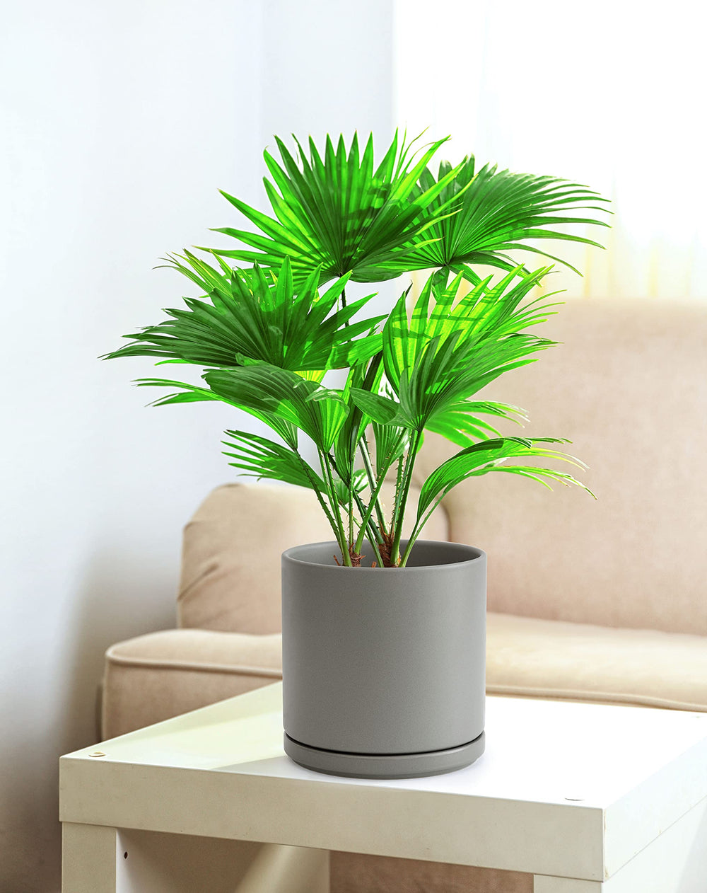 D'vine Dev 8 Inch Ceramic Planter Pot Gray side view