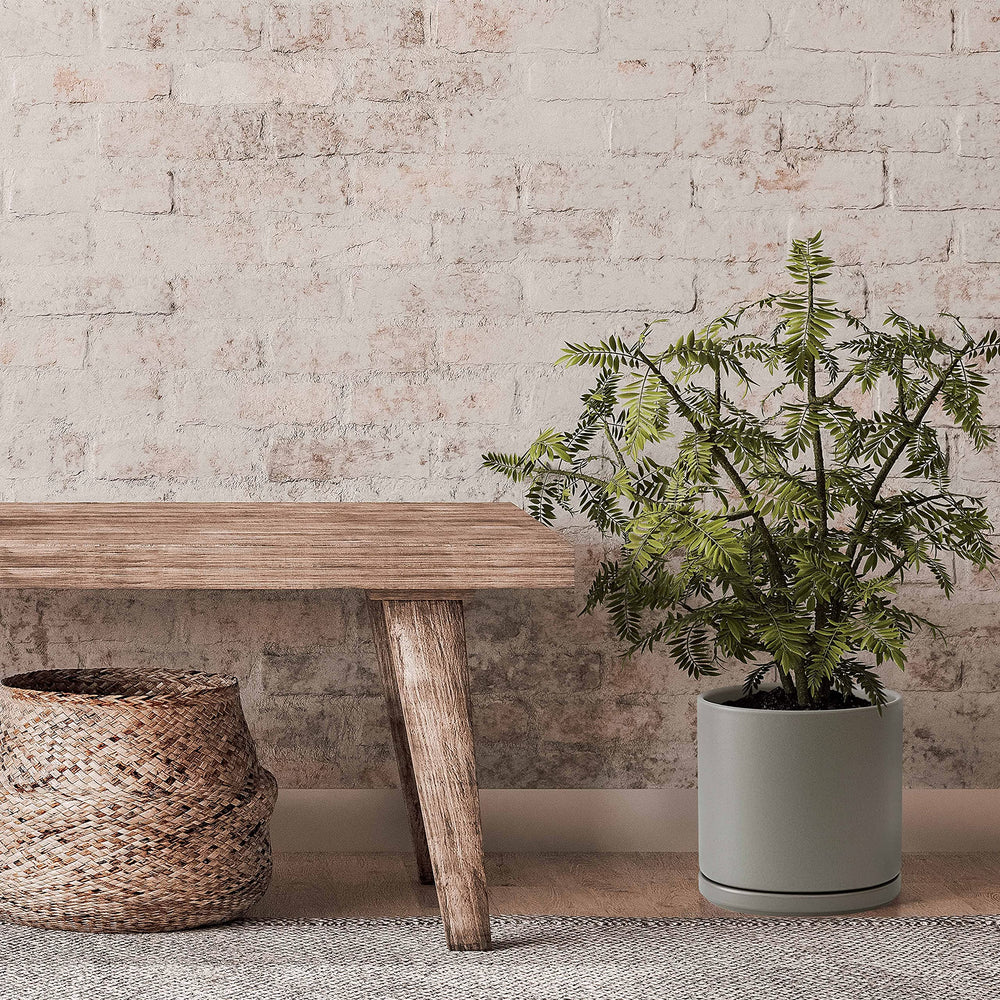 D'vine Dev 8 Inch Ceramic Planter Pot Gray with plants
