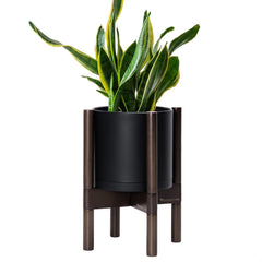 D'vine Dev 8 inch plastic pot with walnut wood stand front view