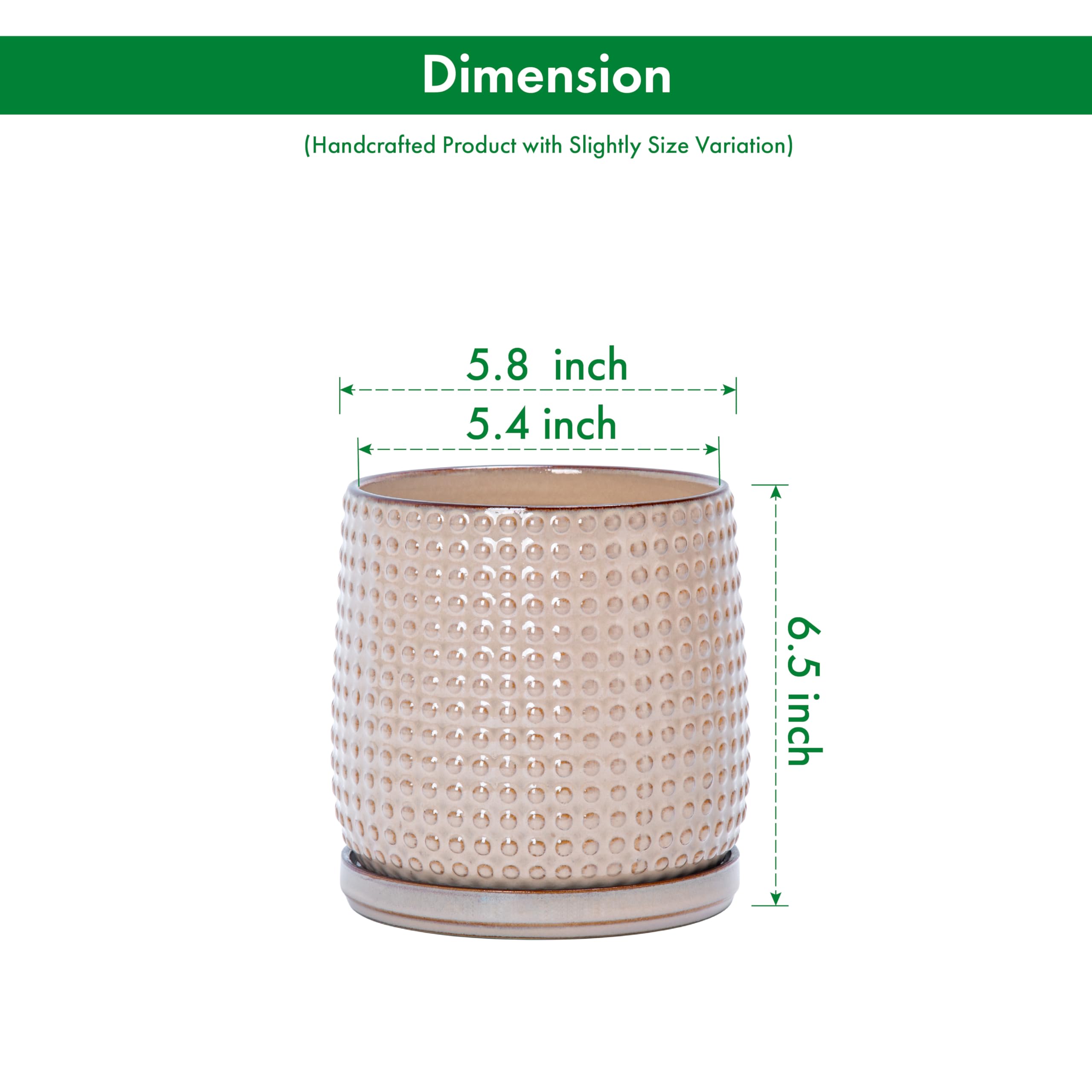 D'vine Dev Beaded Ceramic Pot with plant inside on a wooden table