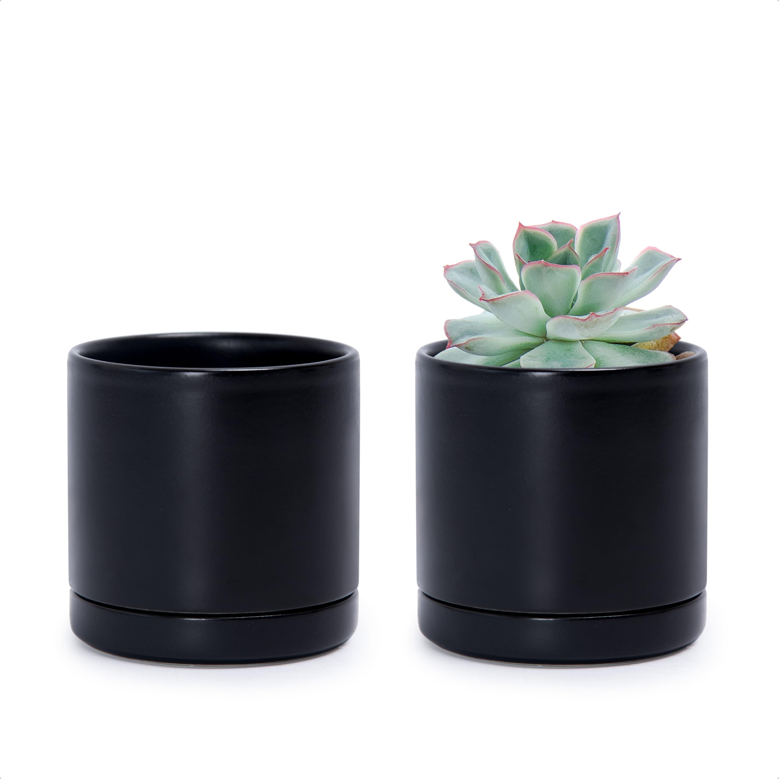 D'vine Dev Black Ceramic Pot front view with saucer