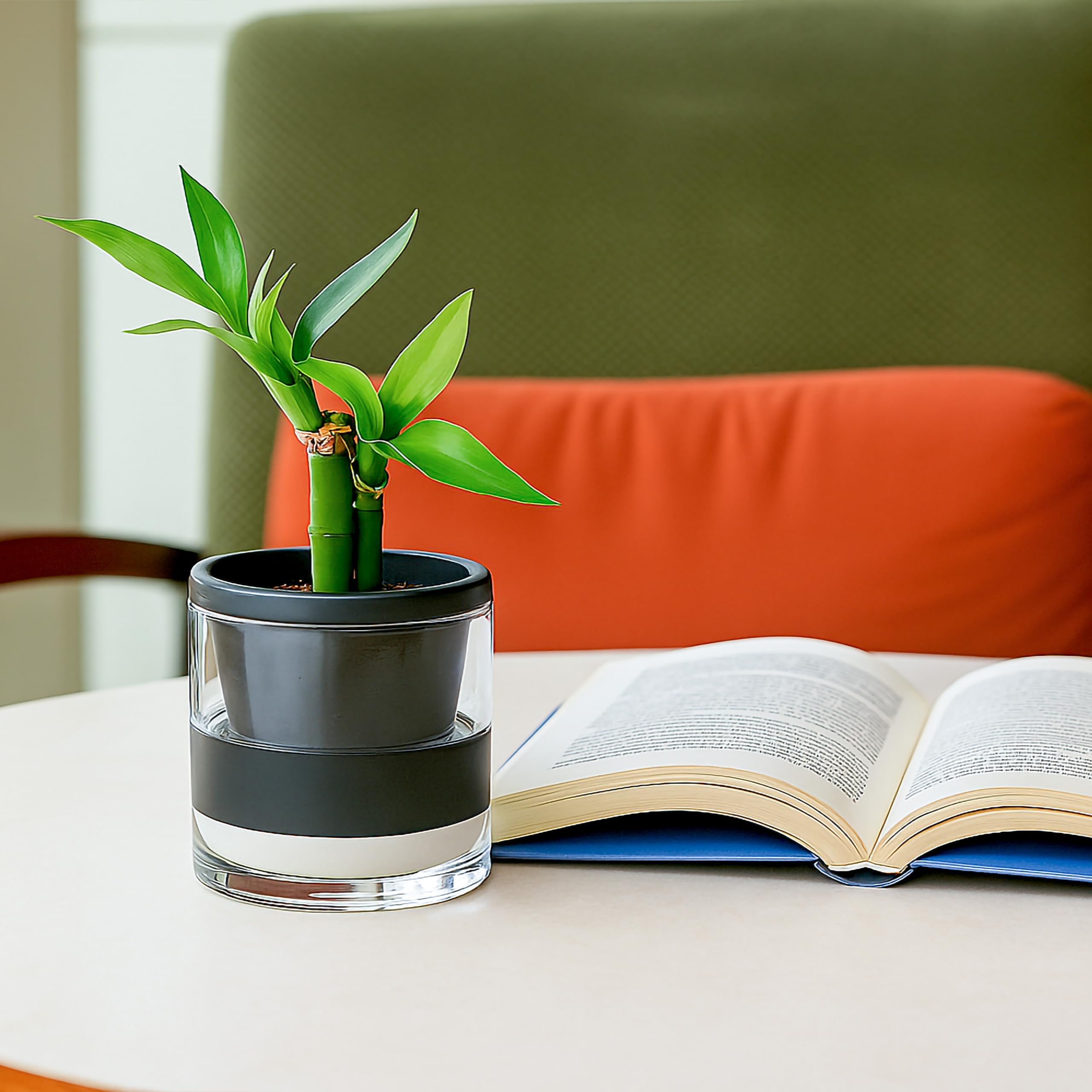 D'vine Dev black terracotta planter with clear glass cup