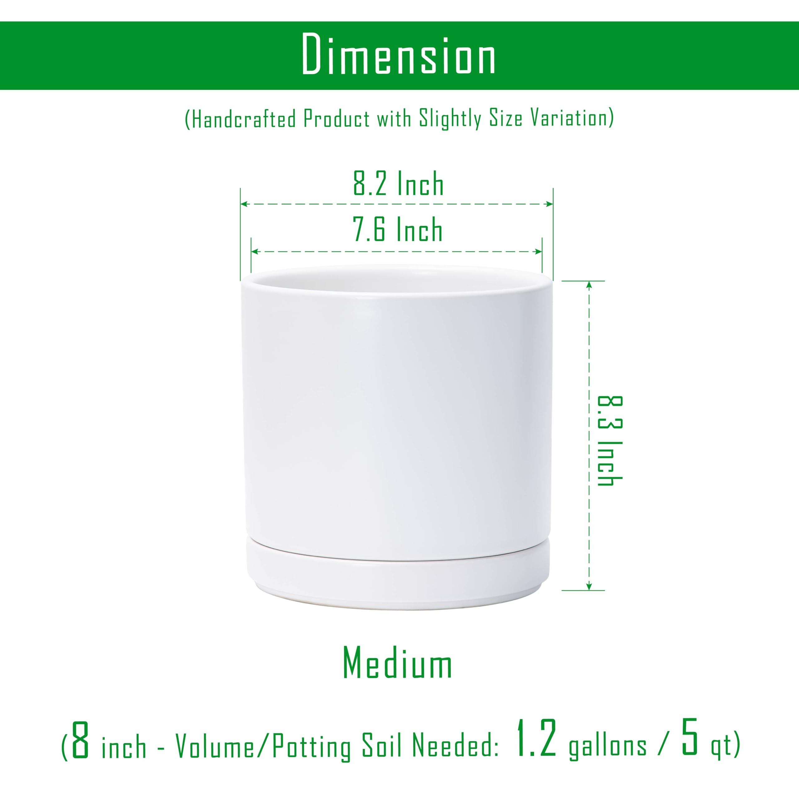 D'vine Dev ceramic planter pot beside potted plant