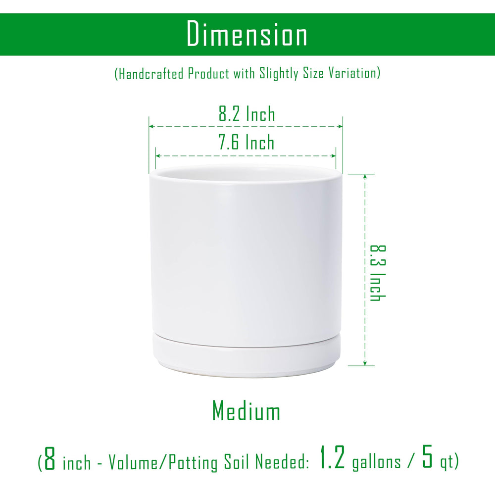 D'vine Dev ceramic planter pot beside potted plant
