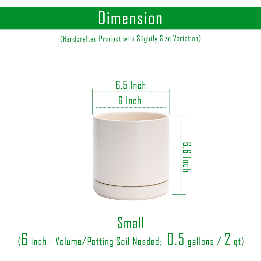 D'vine Dev Ceramic Planter Pots from above