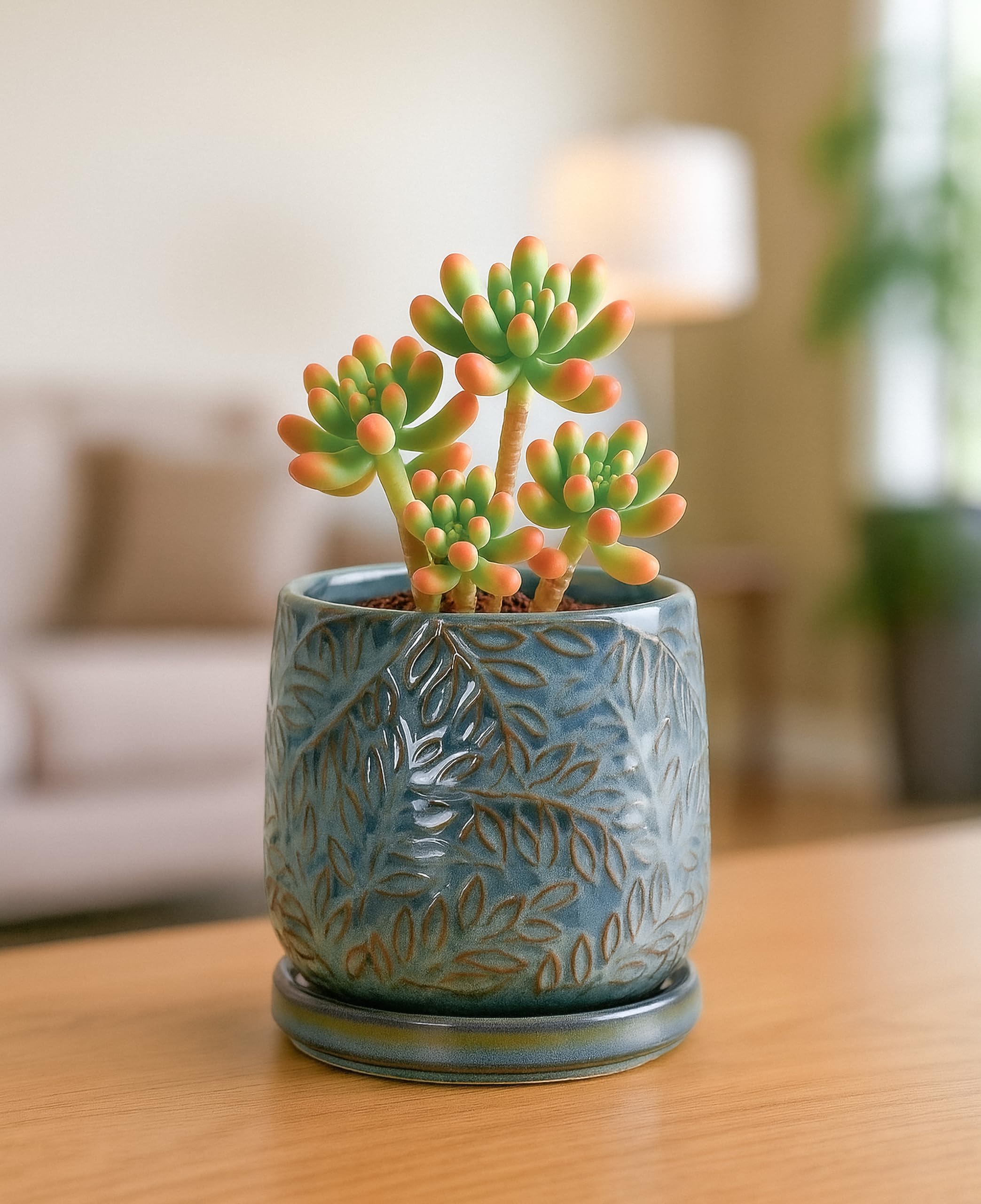 D'vine Dev ceramic planter set on a patio table with plants