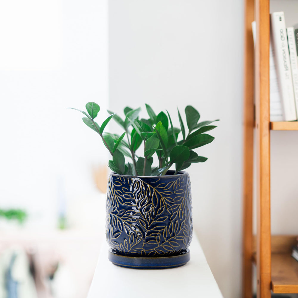 D'vine Dev Ceramic Planter side view showing drainage hole