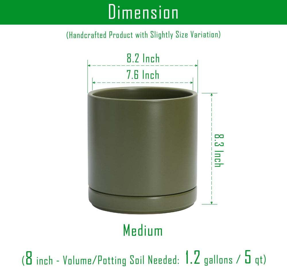 D'vine Dev ceramic planter with included saucer and drainage hole.