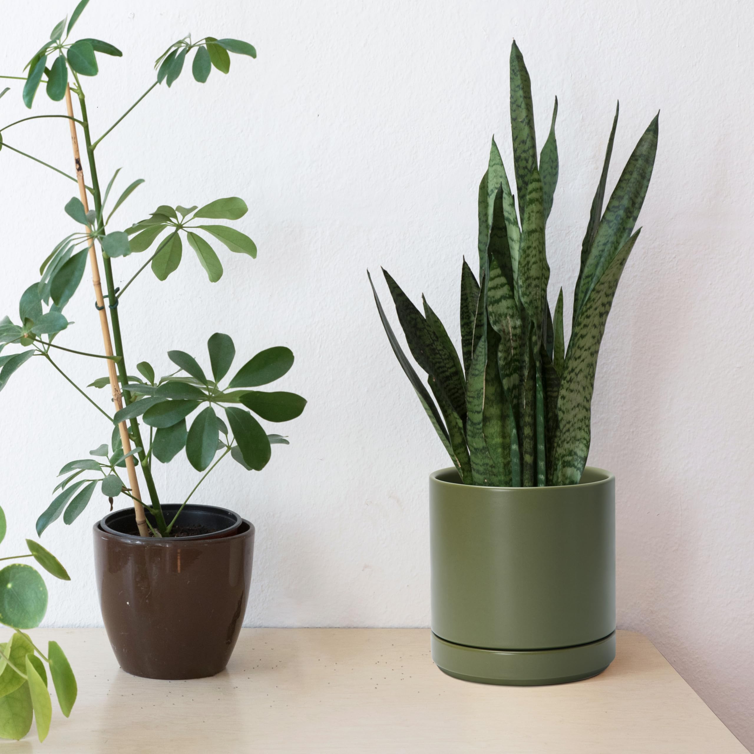 D'vine Dev Ceramic Planter with plants (not included) for display