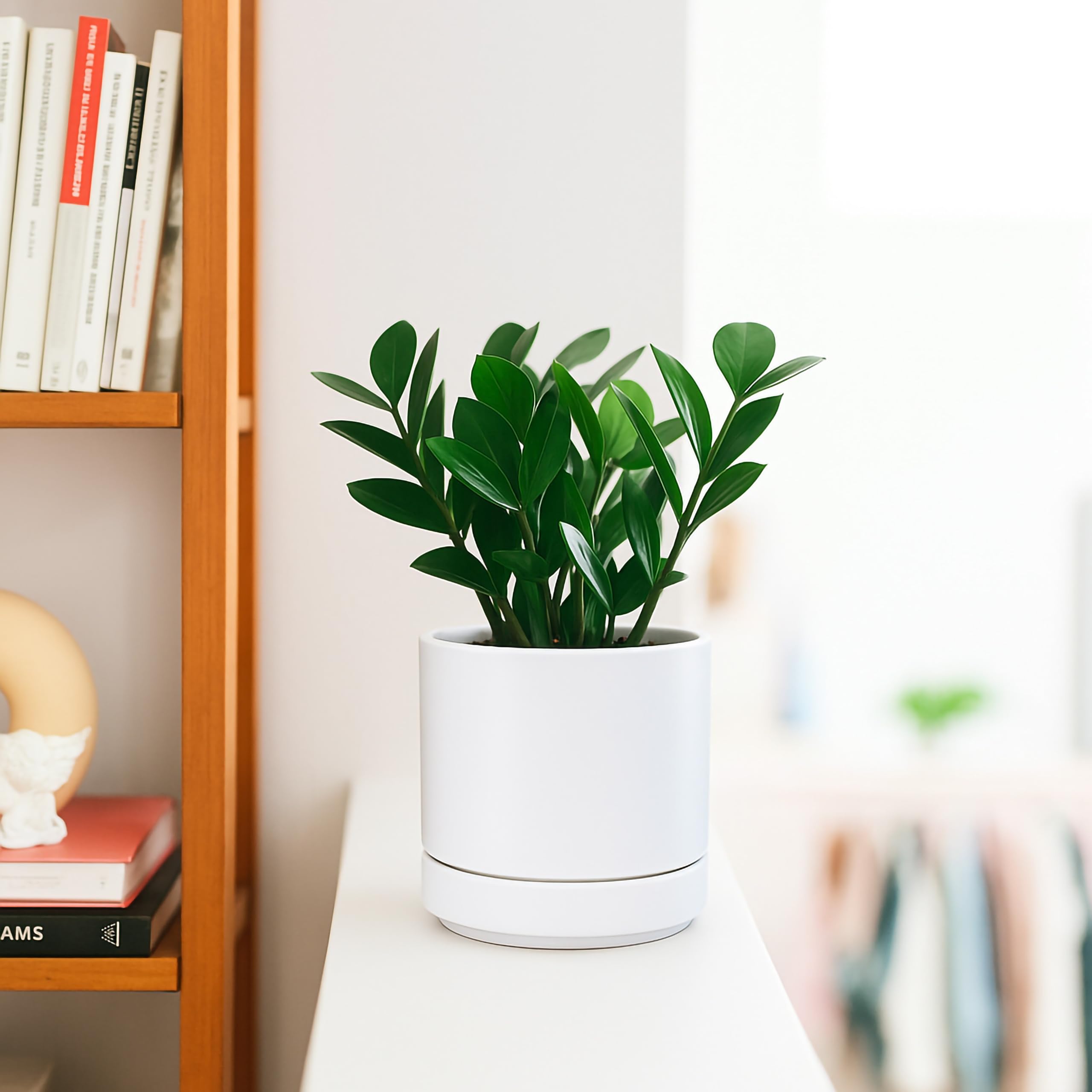 D'vine Dev ceramic pot close-up with a minimalist design