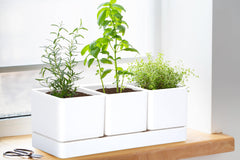 D'vine Dev herb pots with drainage mesh net included