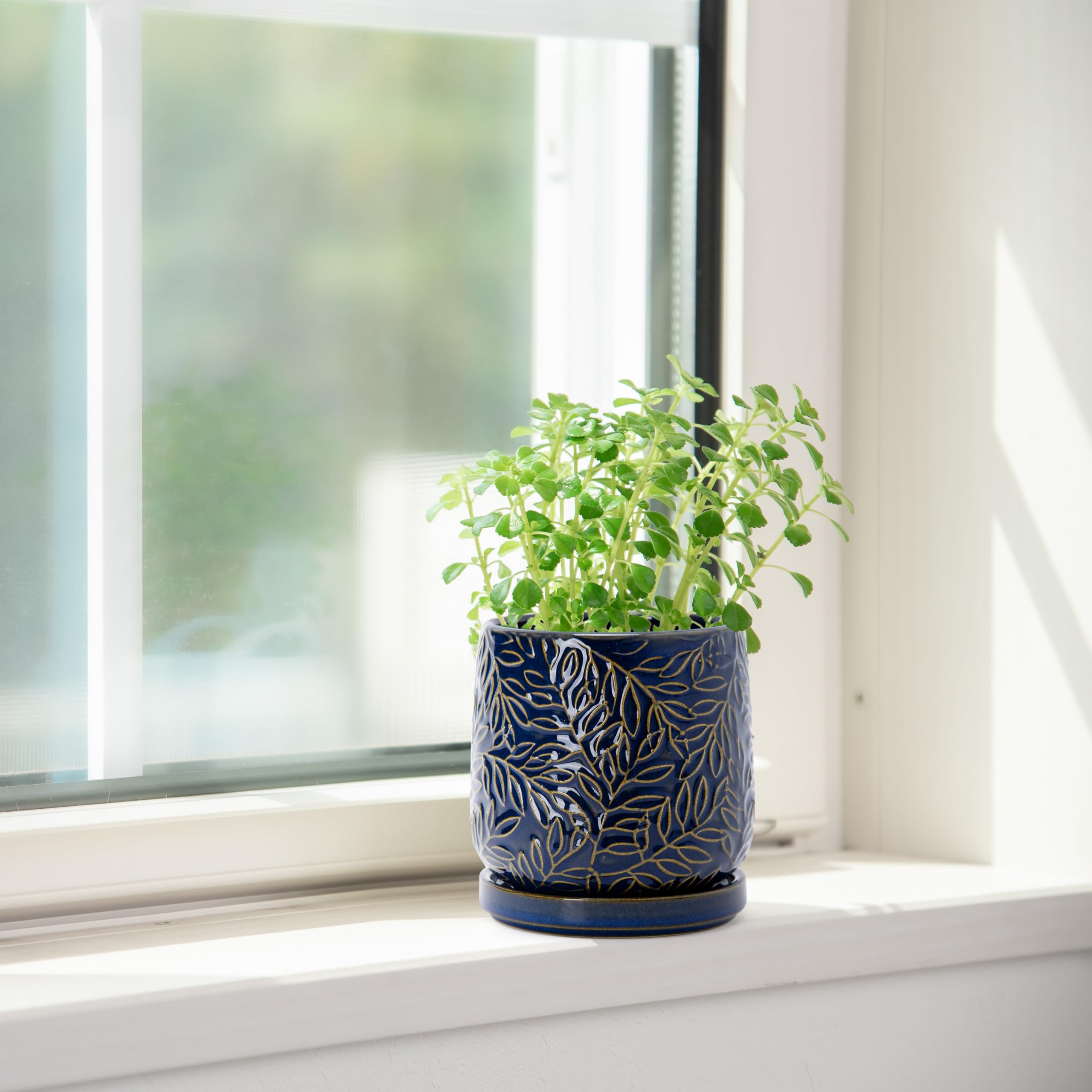 D'vine Dev Midnight Blue Ceramic Planter on a patio table