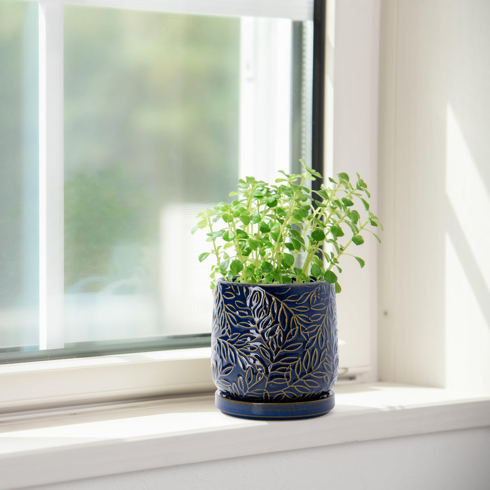 D'vine Dev Midnight Blue Ceramic Planter on a patio table