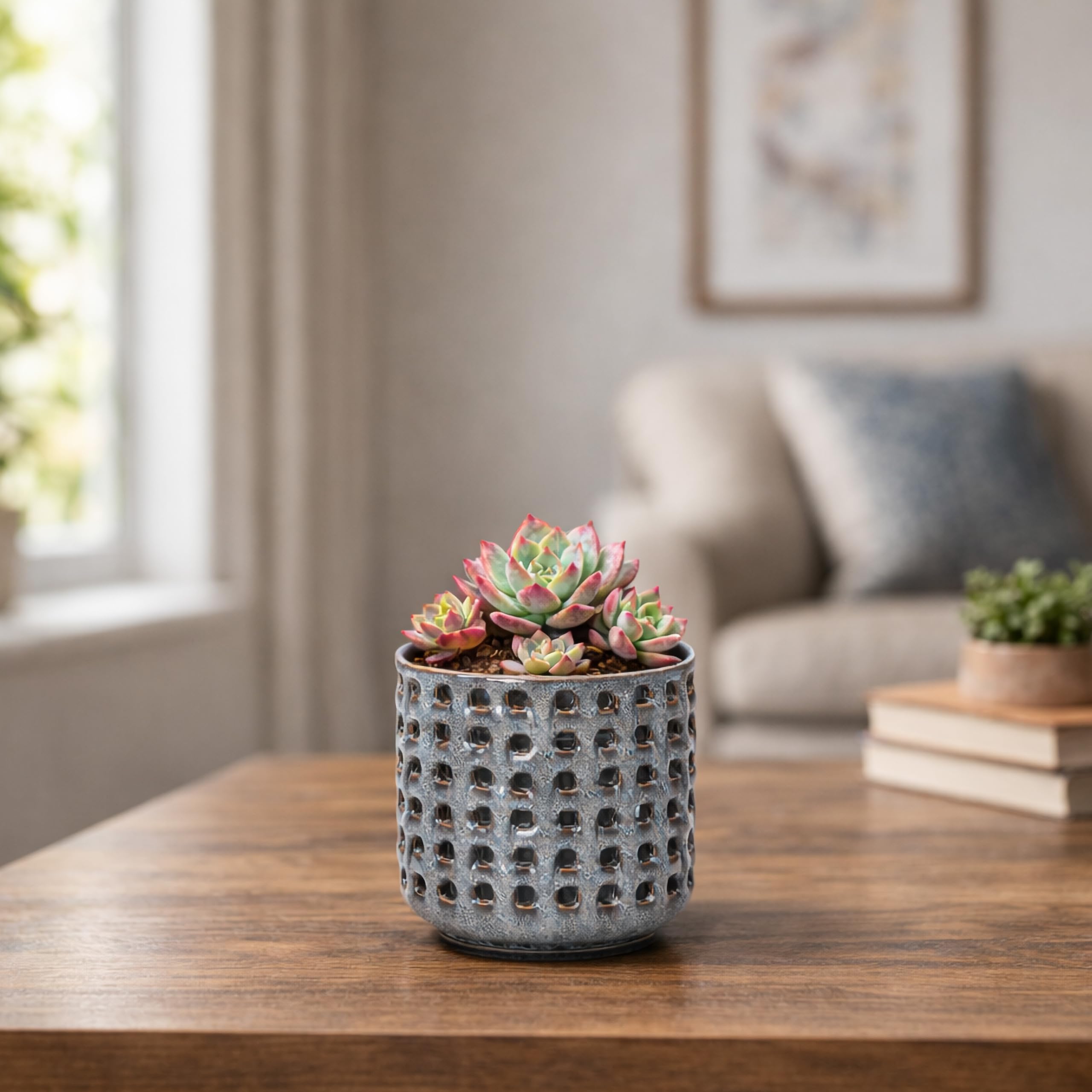 D'vine Dev Orchid Pot in lifestyle setting