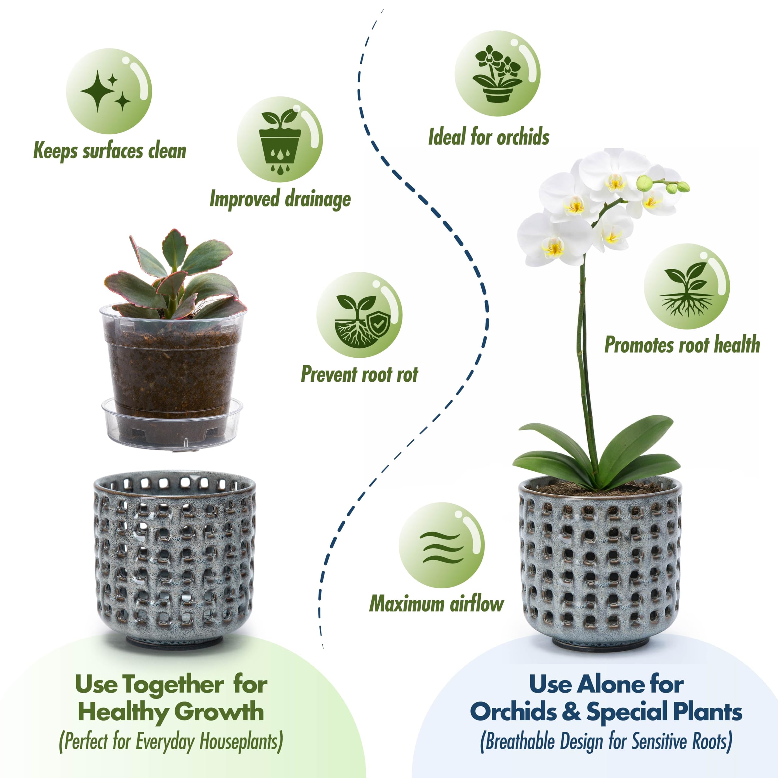 D'vine Dev Orchid Pot with clear nursery insert and saucer