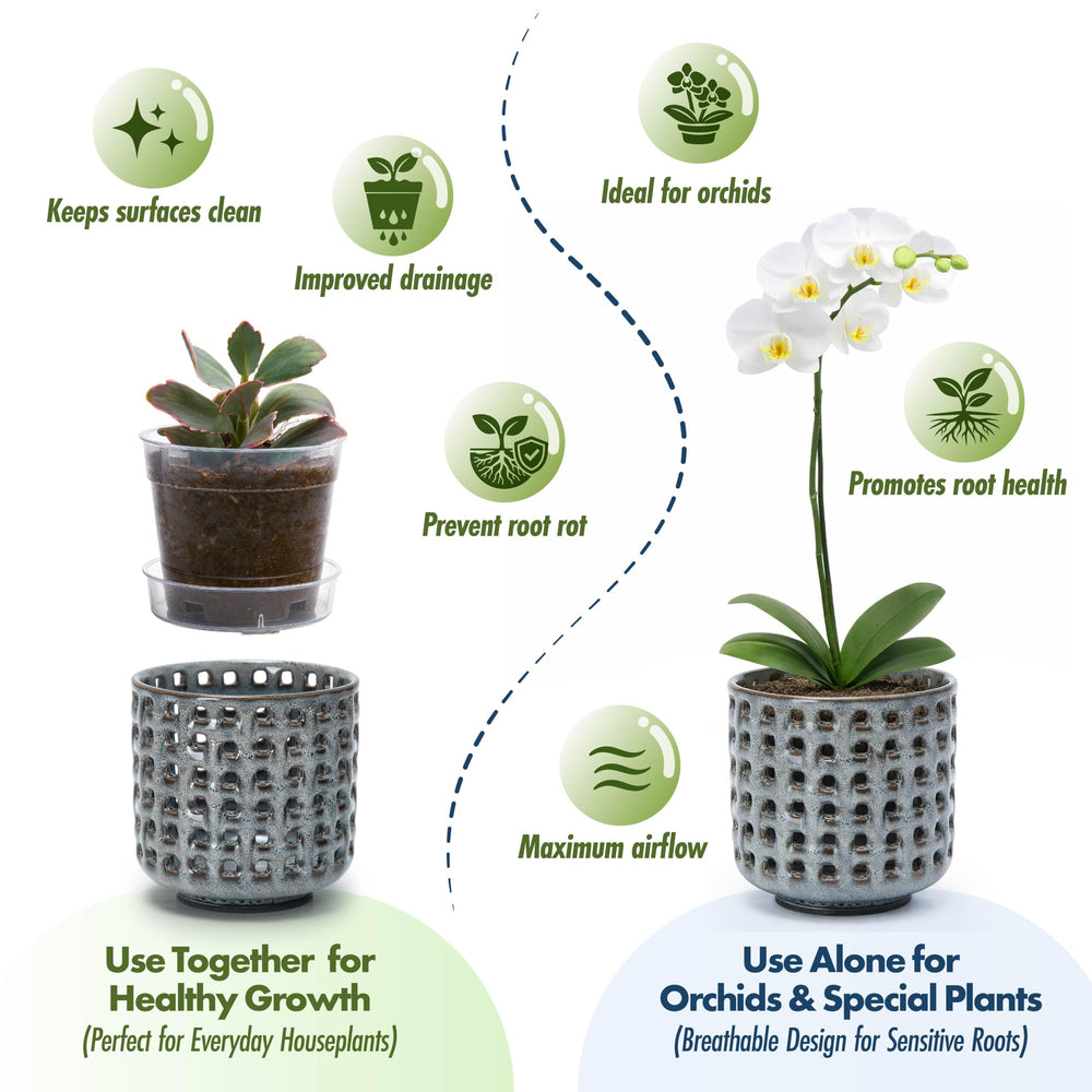 D'vine Dev Orchid Pot with clear nursery insert and saucer