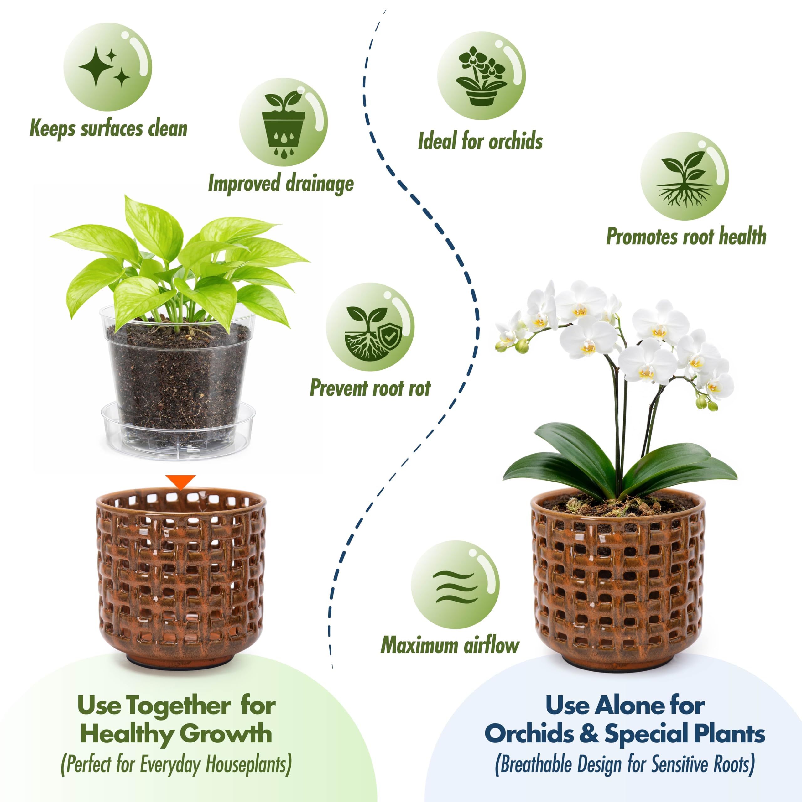 D'vine Dev Orchid Pot with clear nursery insert and saucer