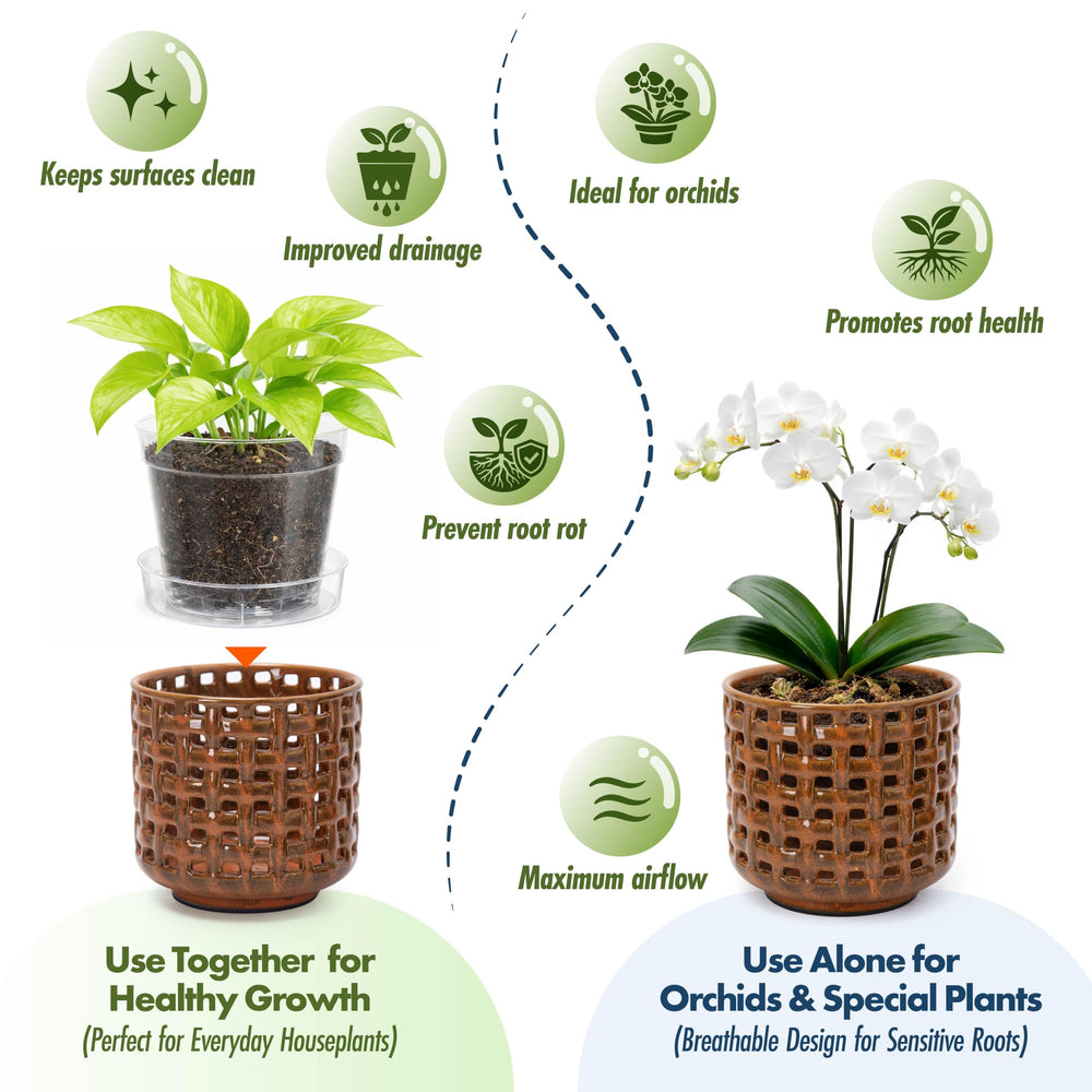 D'vine Dev Orchid Pot with clear nursery insert and saucer