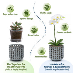 D'vine Dev Orchid Pot with clear nursery insert and saucer