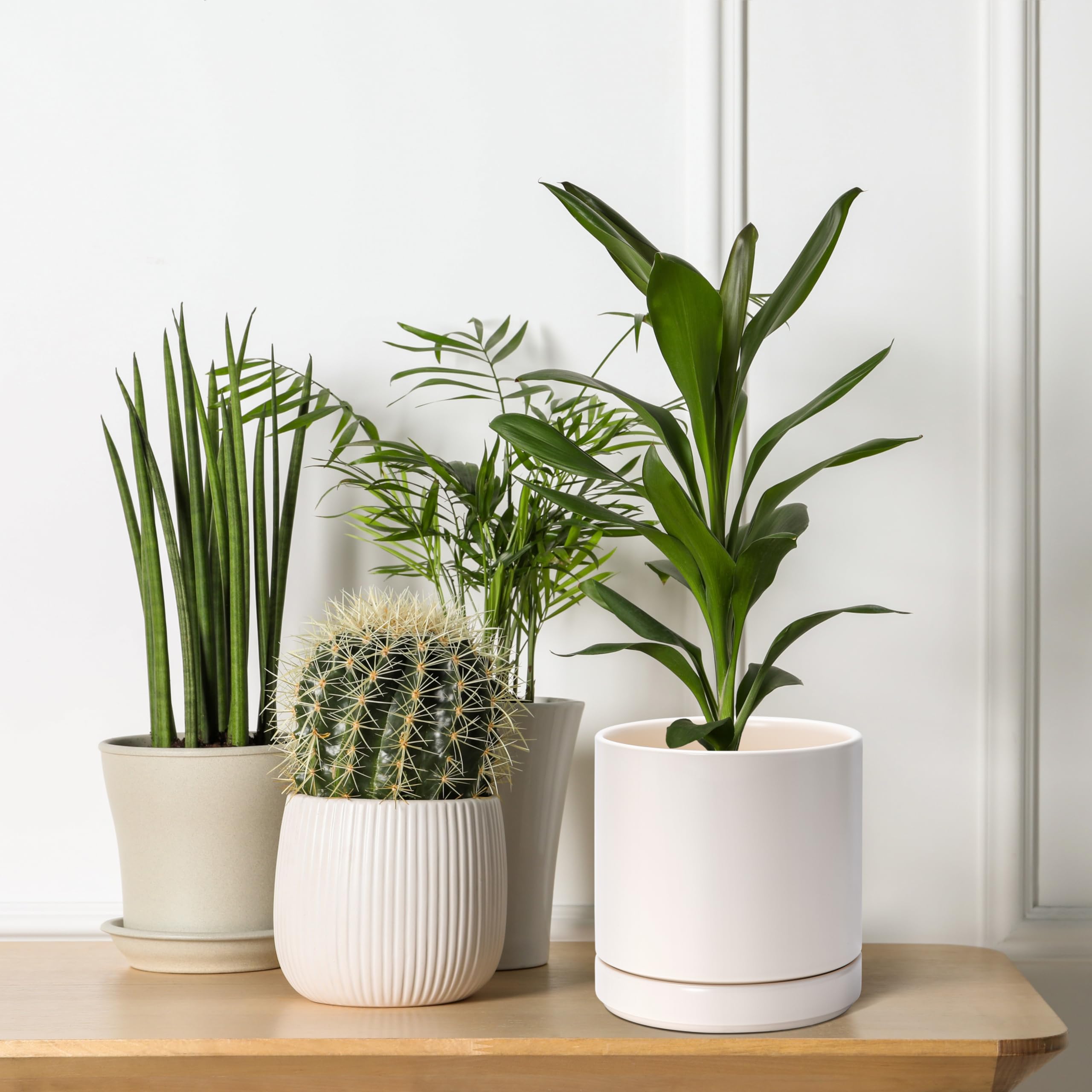 D'vine Dev packaging for ceramic pots