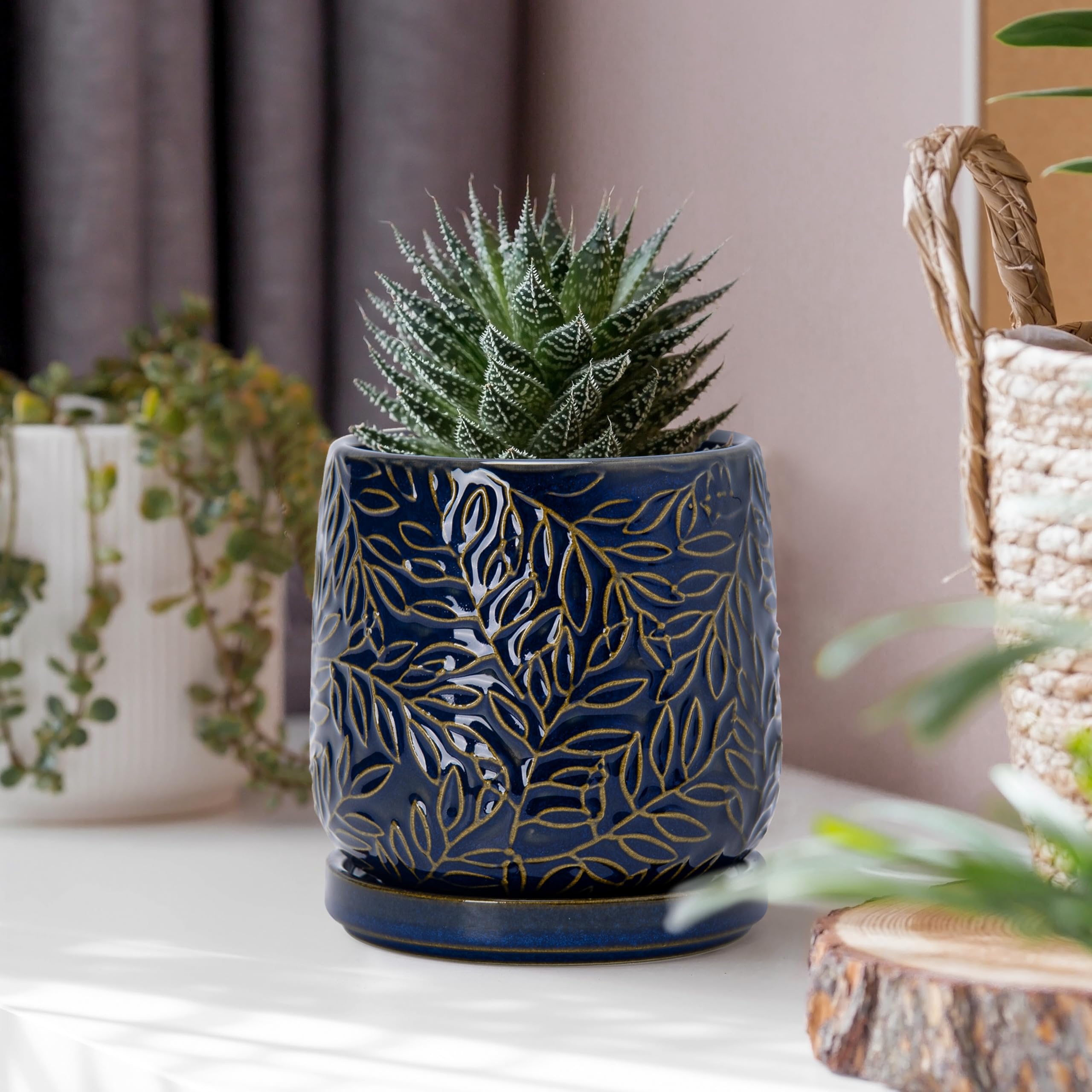 D'vine Dev Planter displayed with a small plant in a modern setting