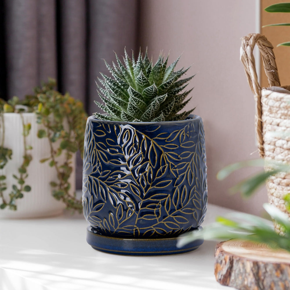 D'vine Dev Planter displayed with a small plant in a modern setting