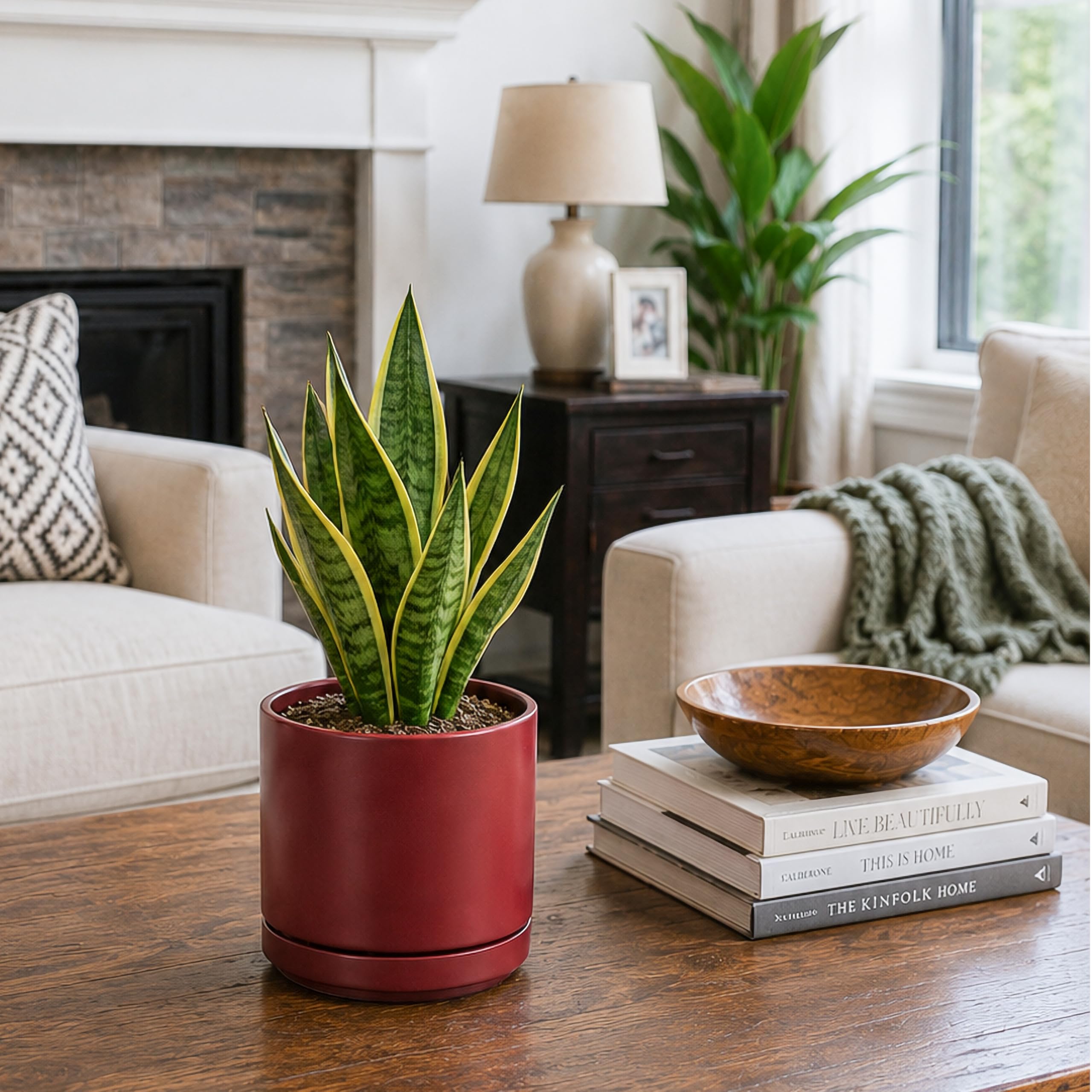 D'vine Dev planter pot with included saucer and mesh nets