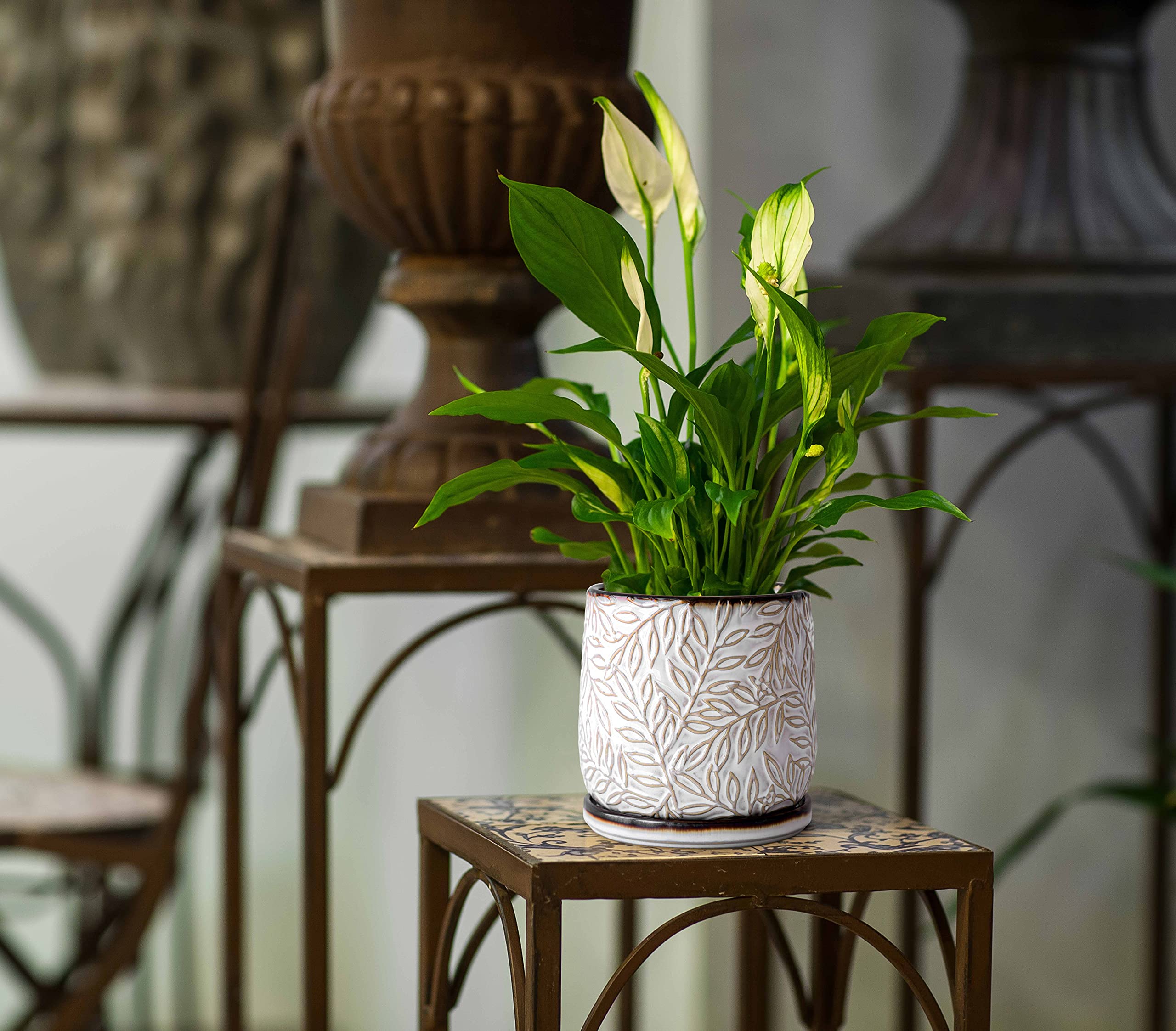 D'vine Dev planter with matching ceramic tray and scratch pad
