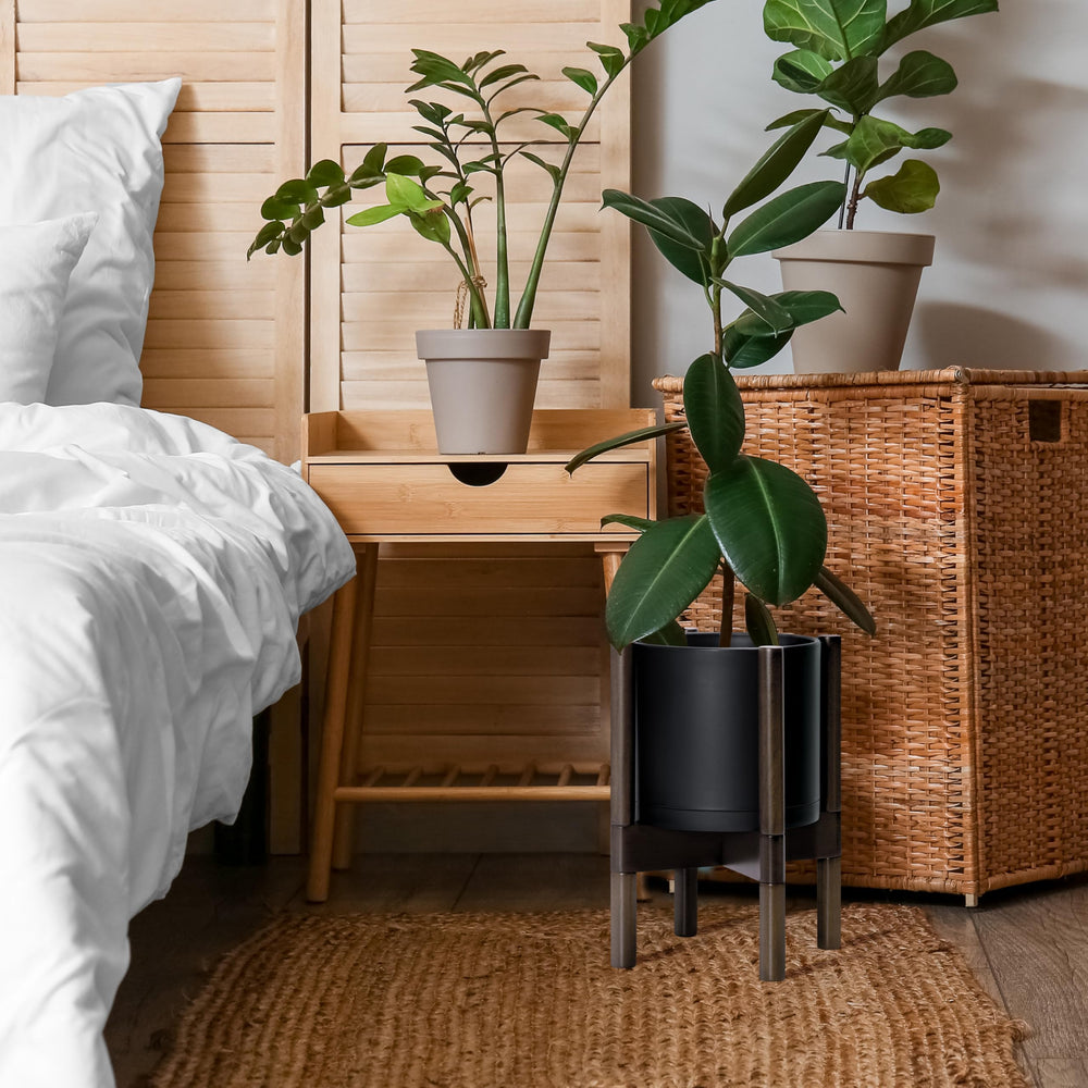 D'vine Dev pot with decorative plants placed in a living room