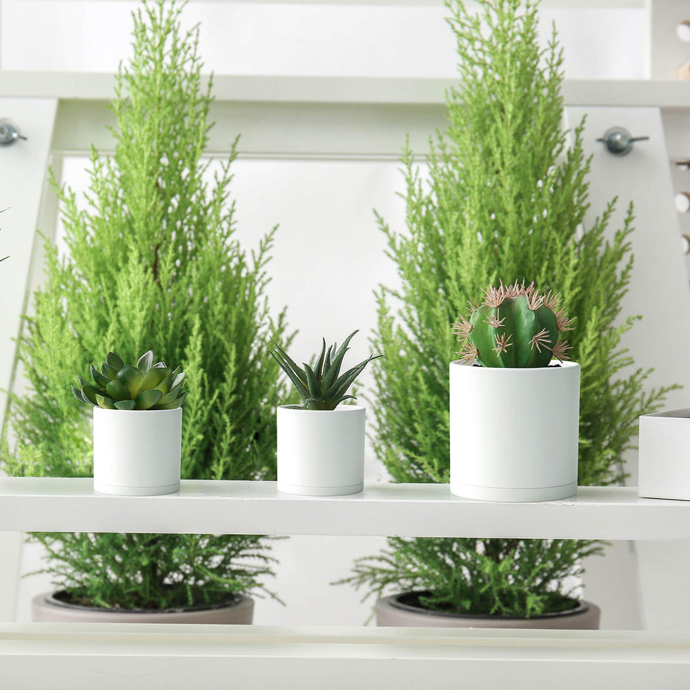 D'vine Dev pots with plants inside, displaying modern design