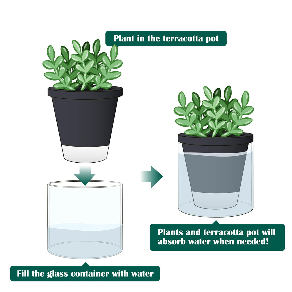 D'vine Dev self-watering planter on a table