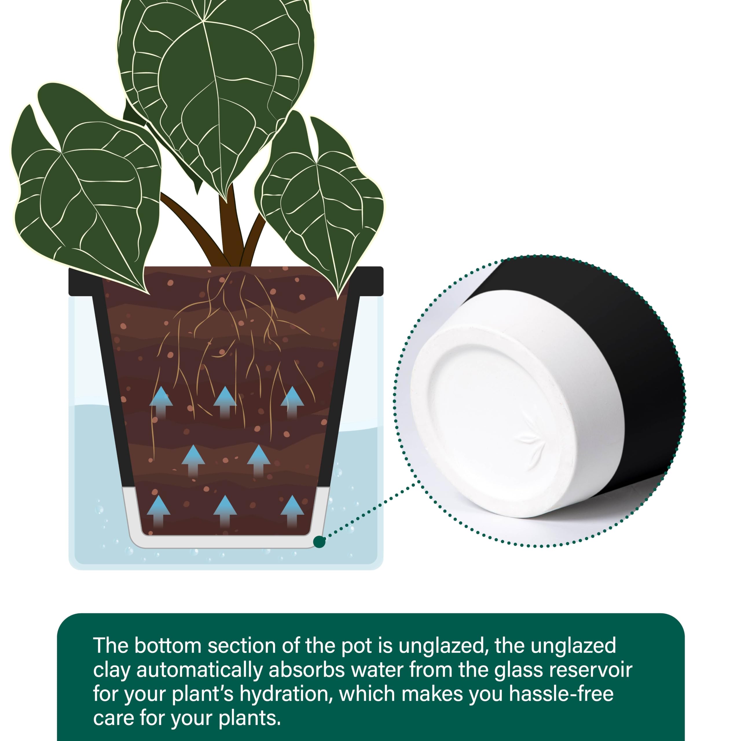 D'vine Dev Self-Watering Planter Pot on a wooden table