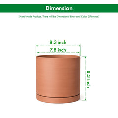 D'vine Dev Terracotta Plant Pot close-up of drainage net