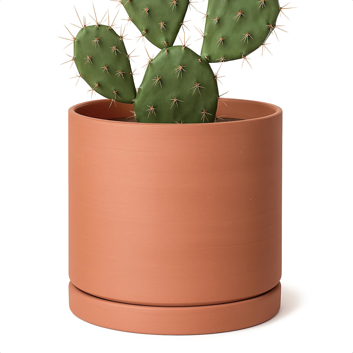 D'vine Dev Terracotta Plant Pot front view with saucer
