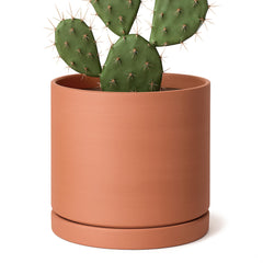 D'vine Dev Terracotta Plant Pot front view with saucer