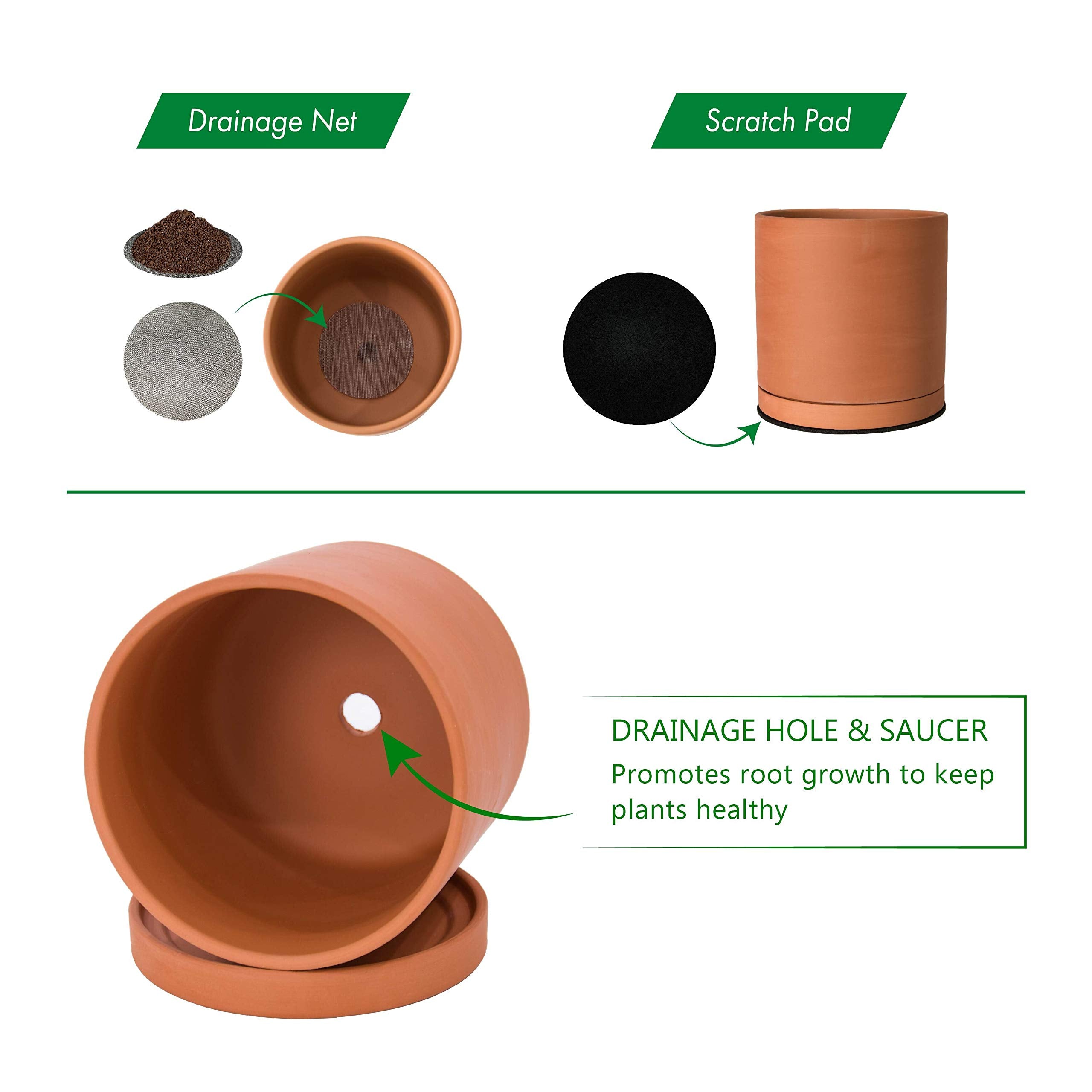 D'vine Dev Terracotta Plant Pot on a wooden table with plants