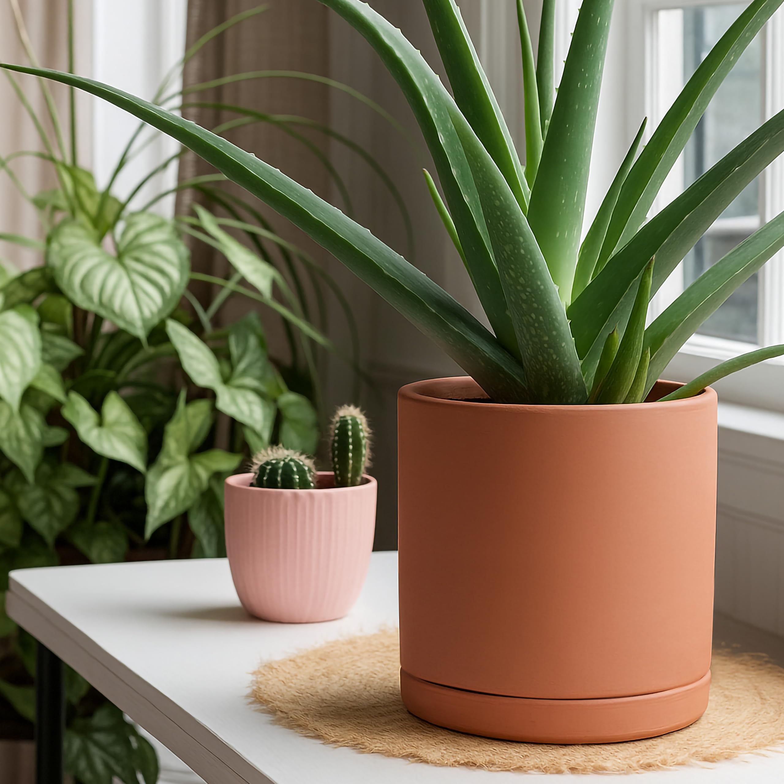 D'vine Dev Terracotta Plant Pot packaging display