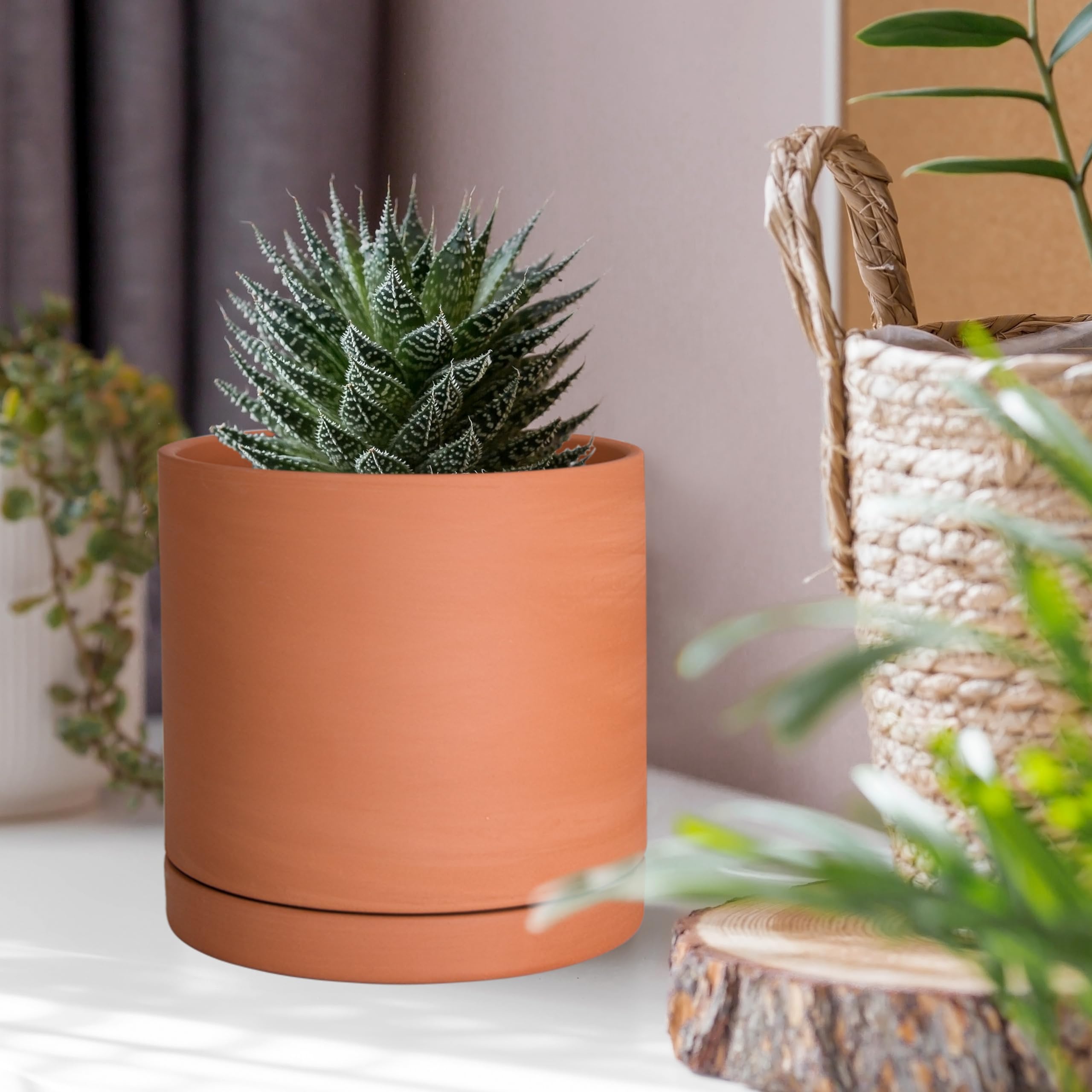 D'vine Dev Terracotta Plant Pot packaging view