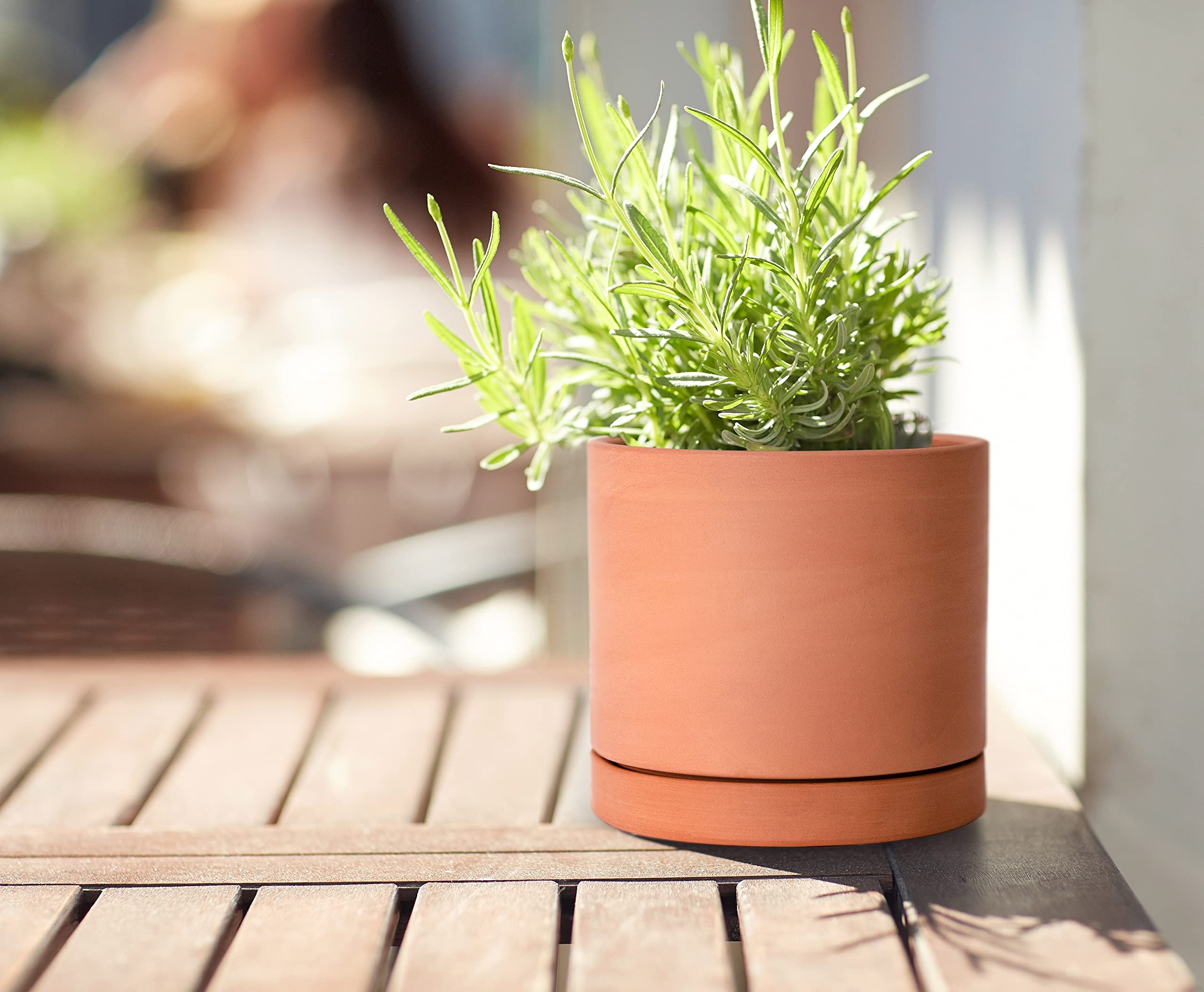 D'vine Dev Terracotta Plant Pot showing drainage hole