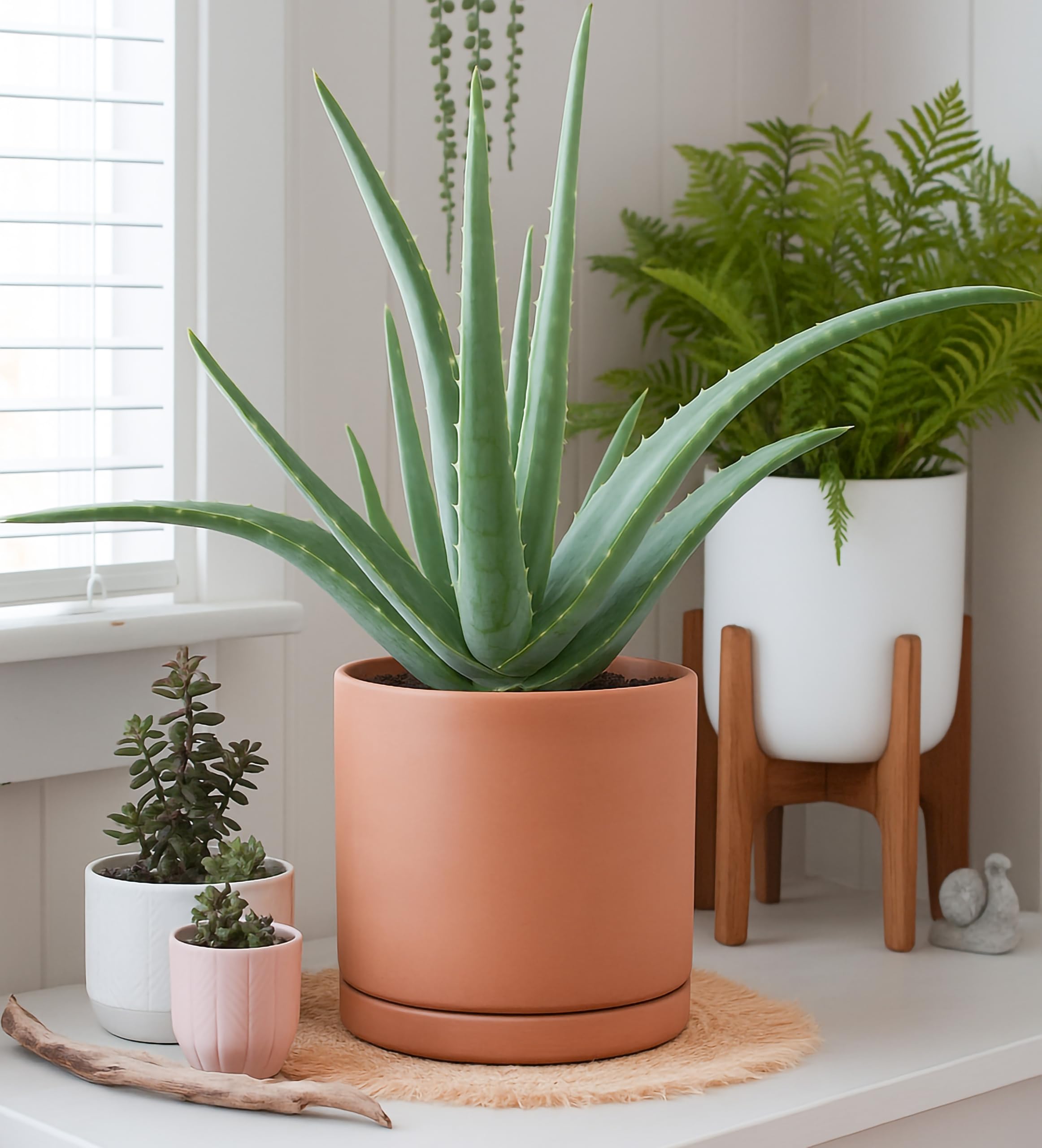 D'vine Dev Terracotta Plant Pot with decorative plants